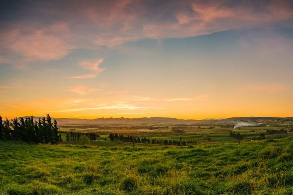 Greystone PurePod