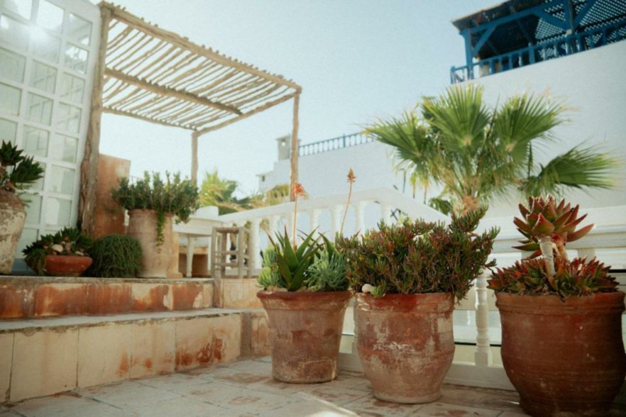 Riad Baladin
