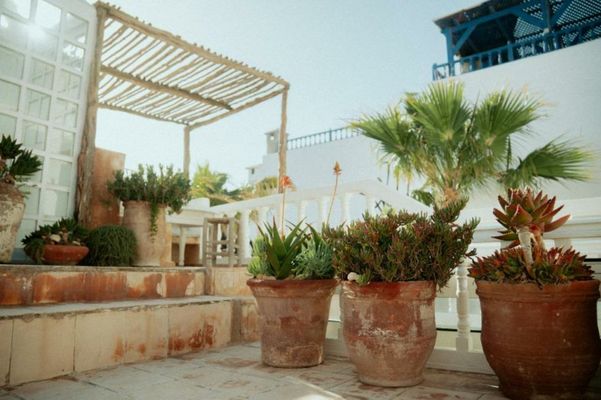 Riad Baladin