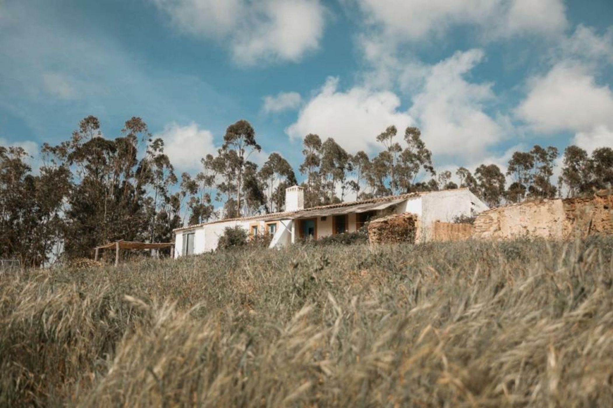 Muxima - Aljezur