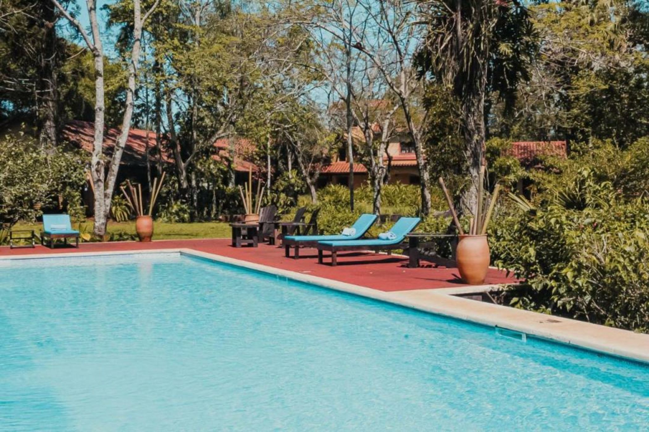 Reserva Natural Iguazú - Posada Puerto Bemberg