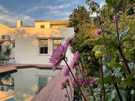 Penelope's Stellenbosch