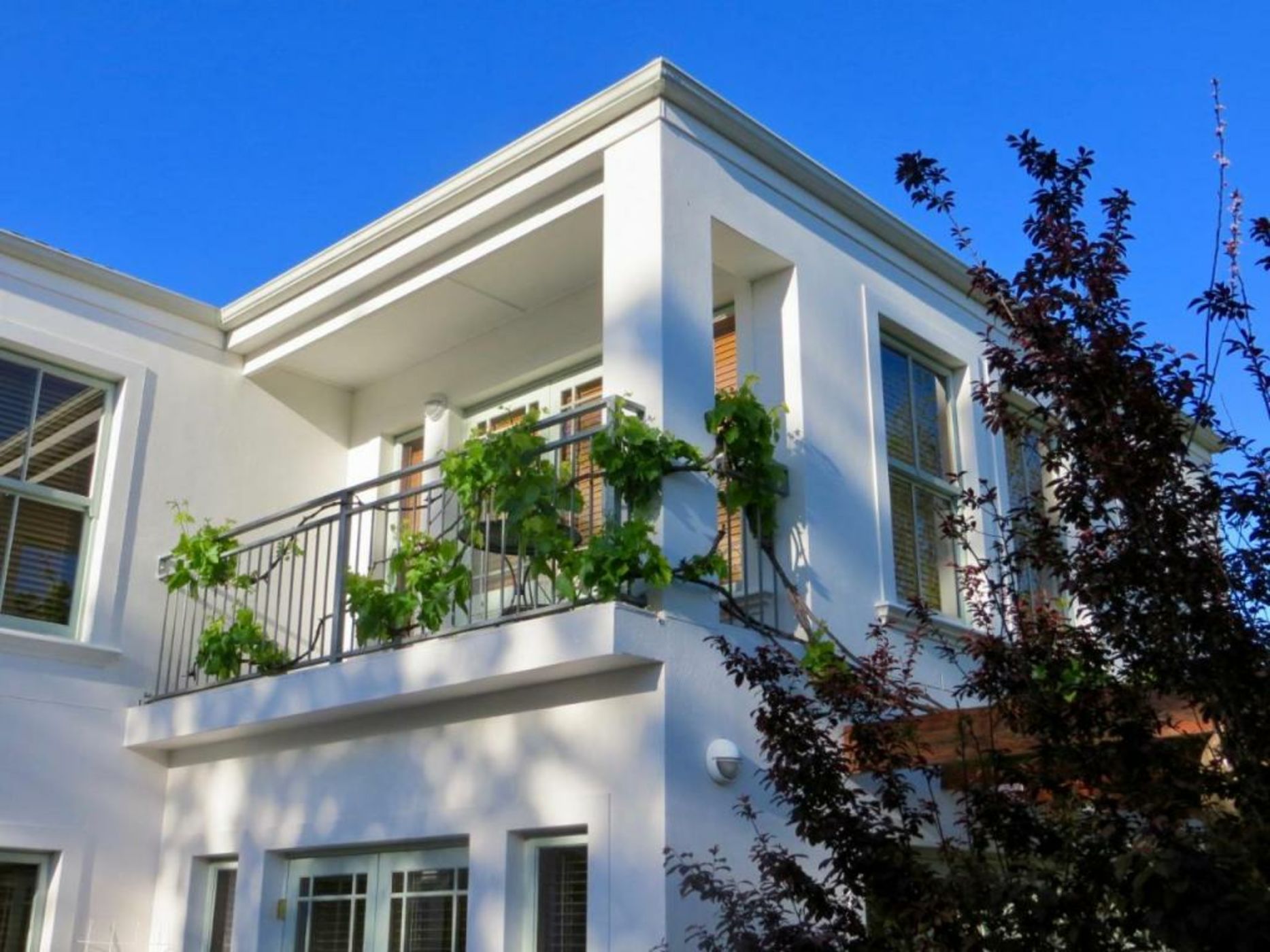 Penelope's Stellenbosch