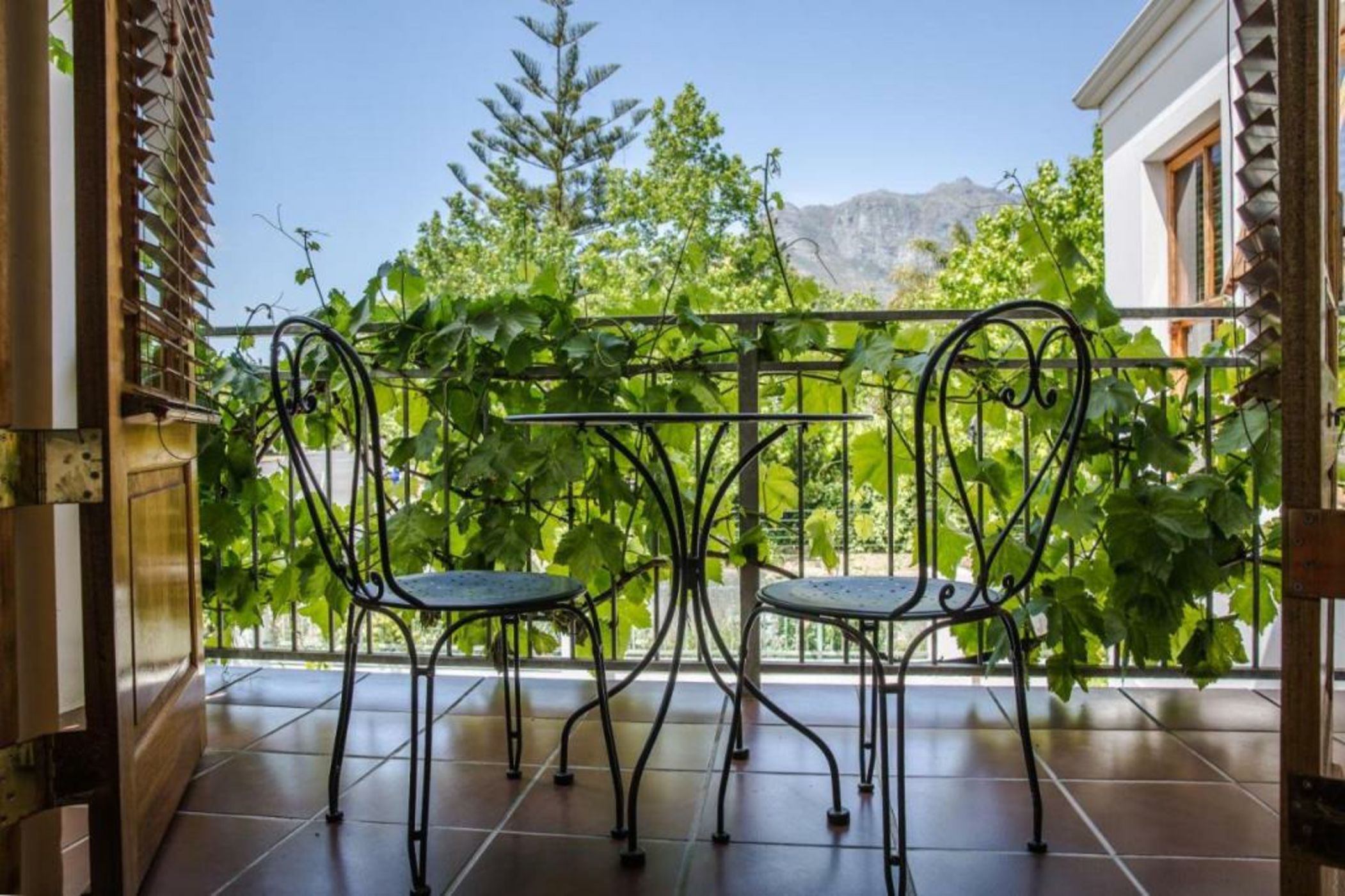 Penelope's Stellenbosch
