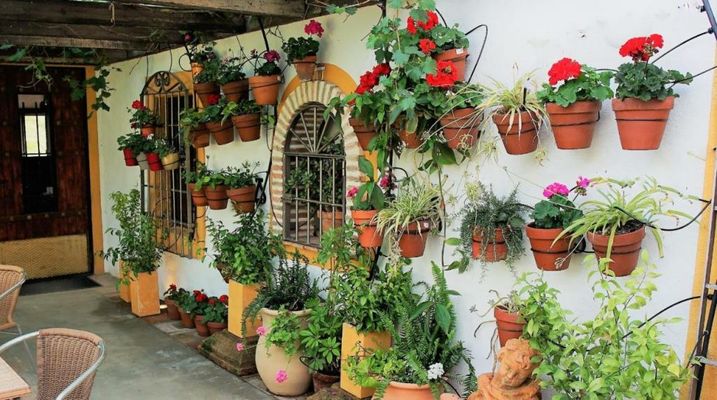 Casona Granado