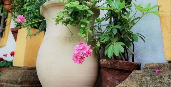 Casona Granado