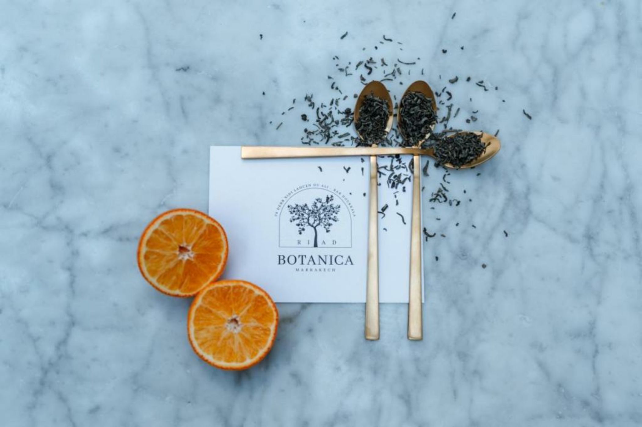 Riad Botanica