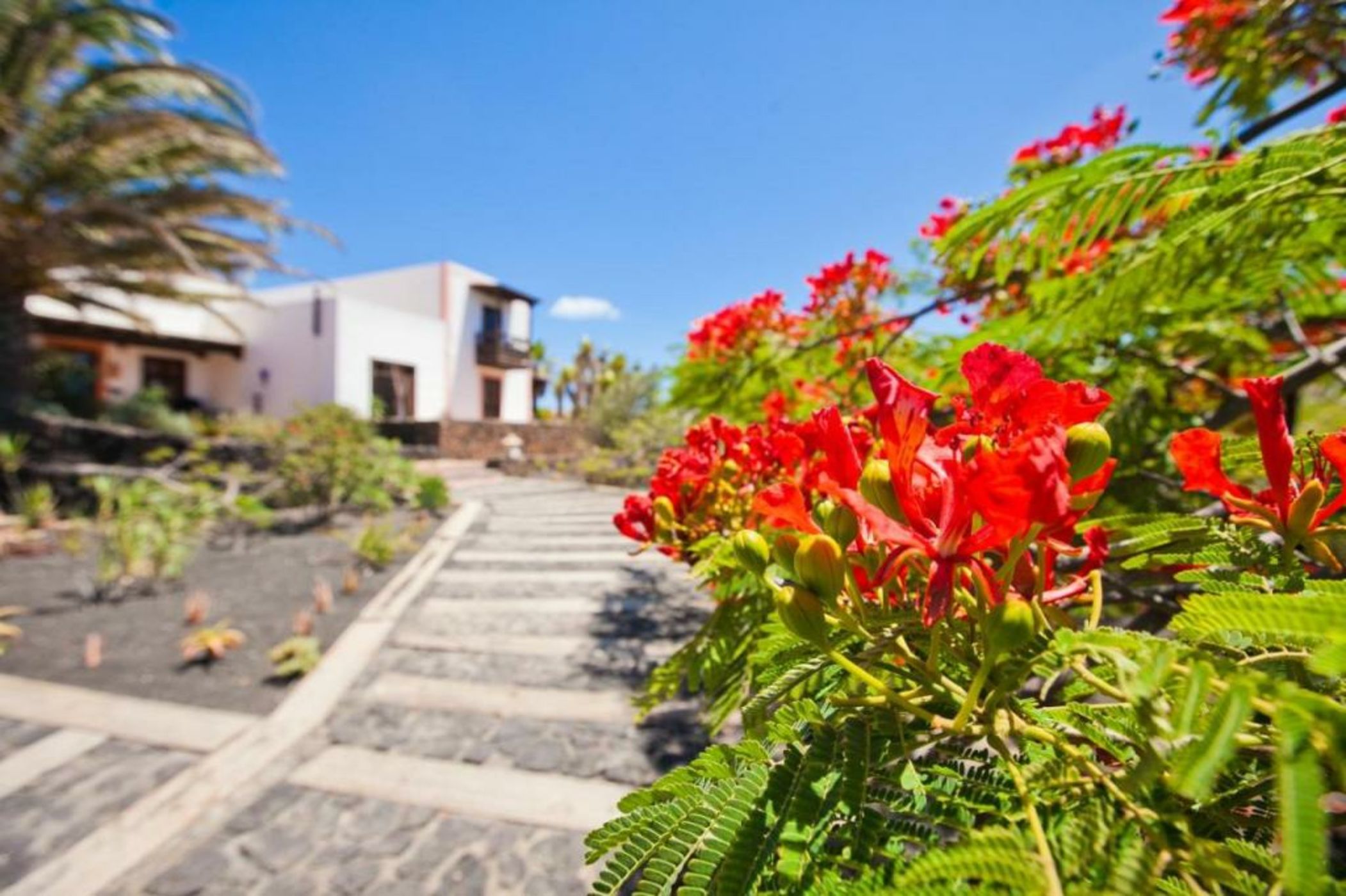 Casa El Morro