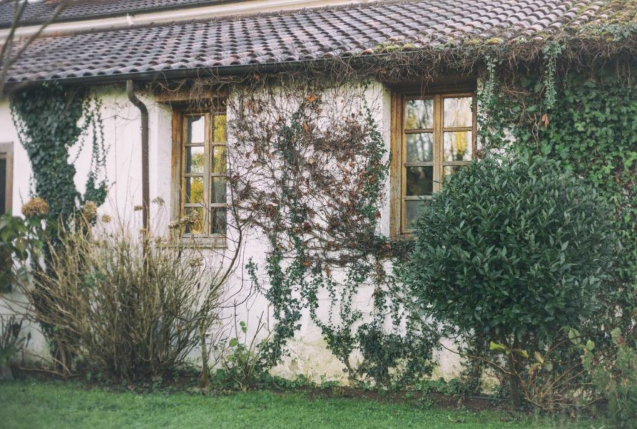La Casona de Amandi