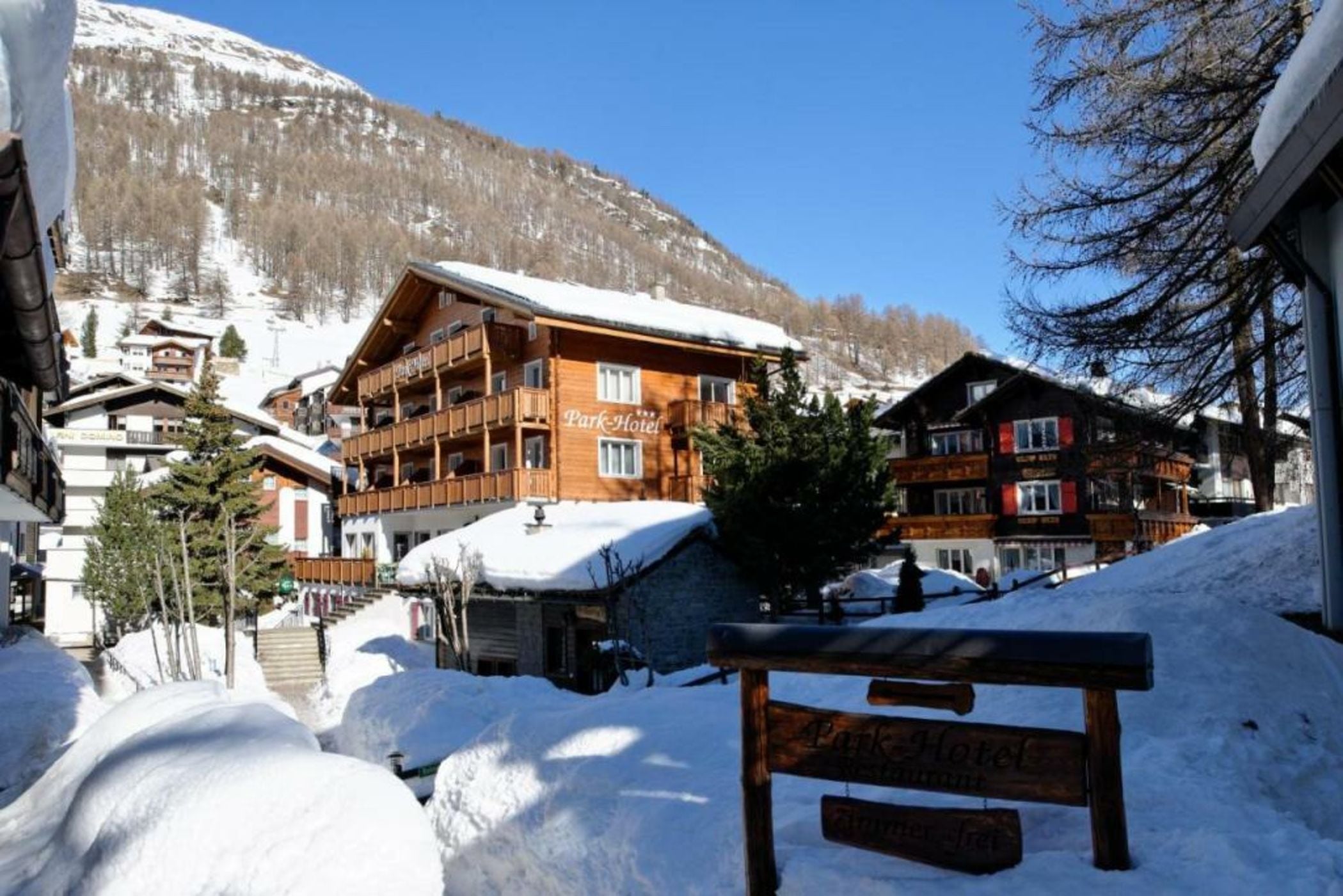 Park-Hotel Saas- Fee