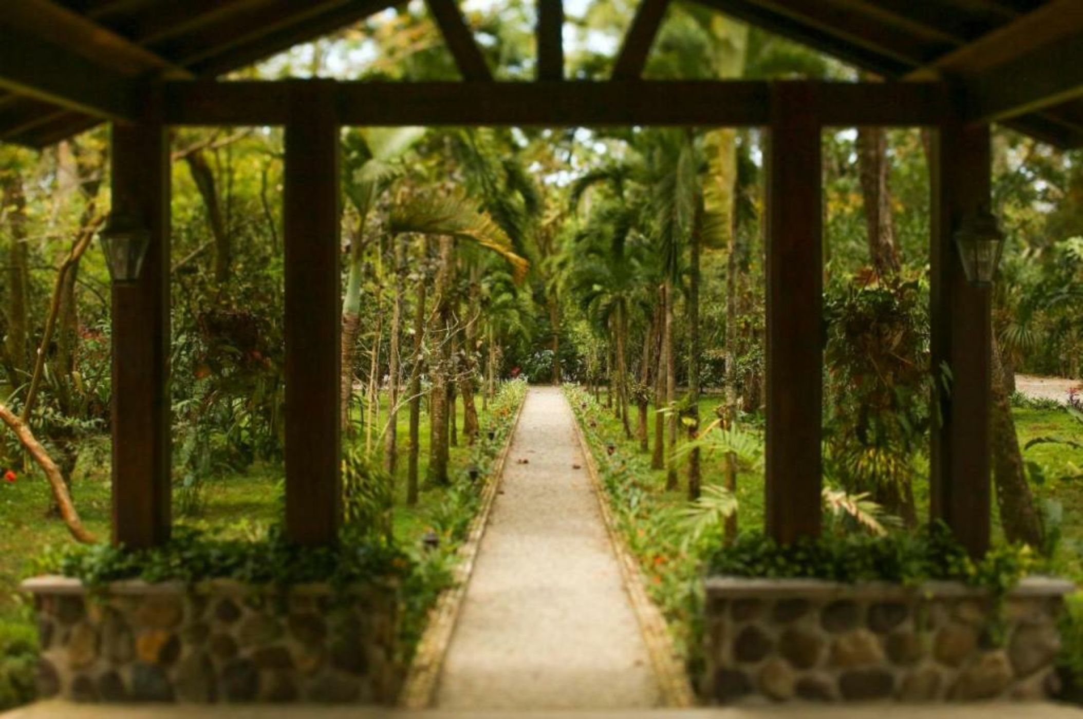 The Lodge at Pico Bonito