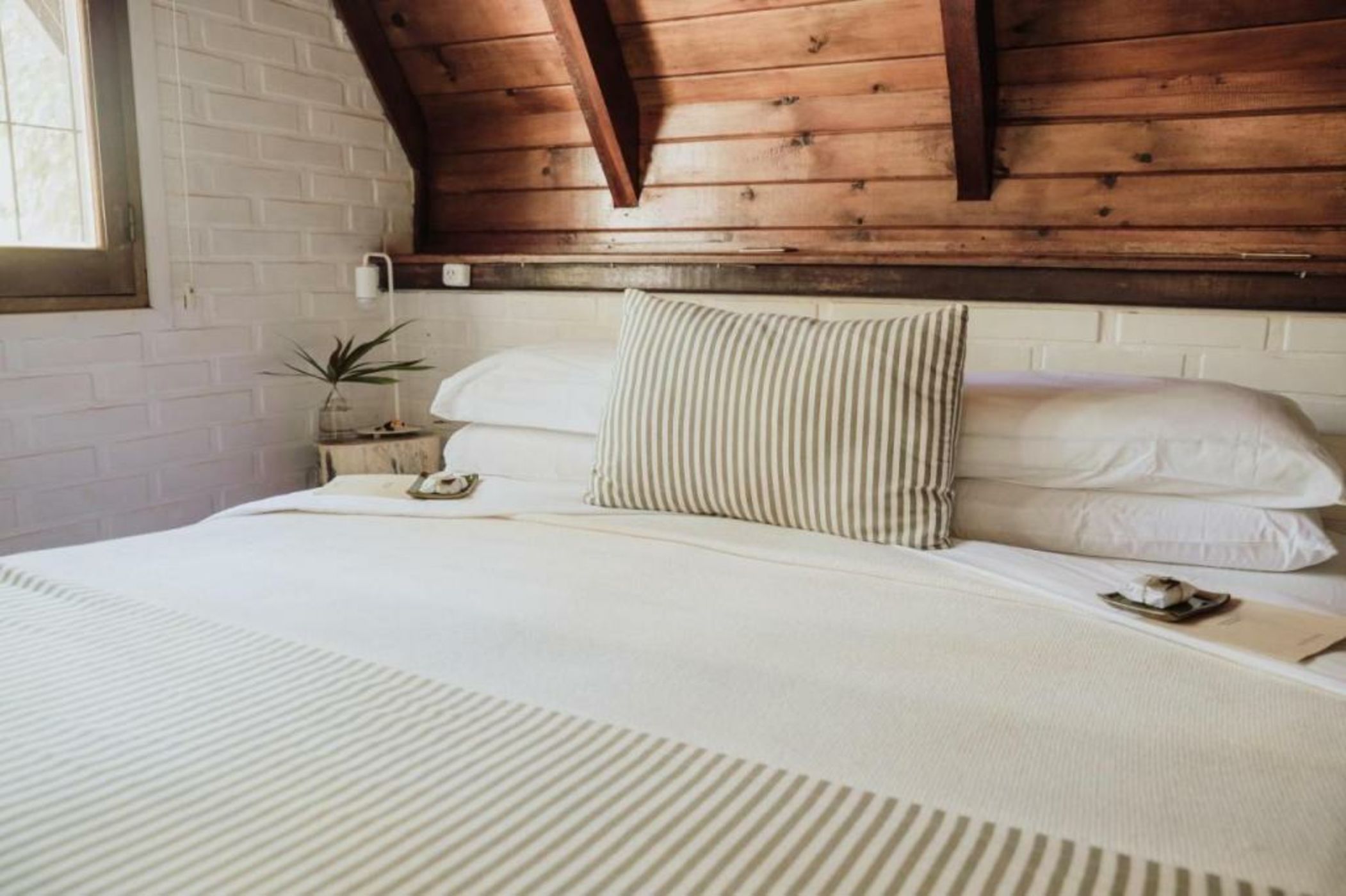 Overo Lodge & Selva