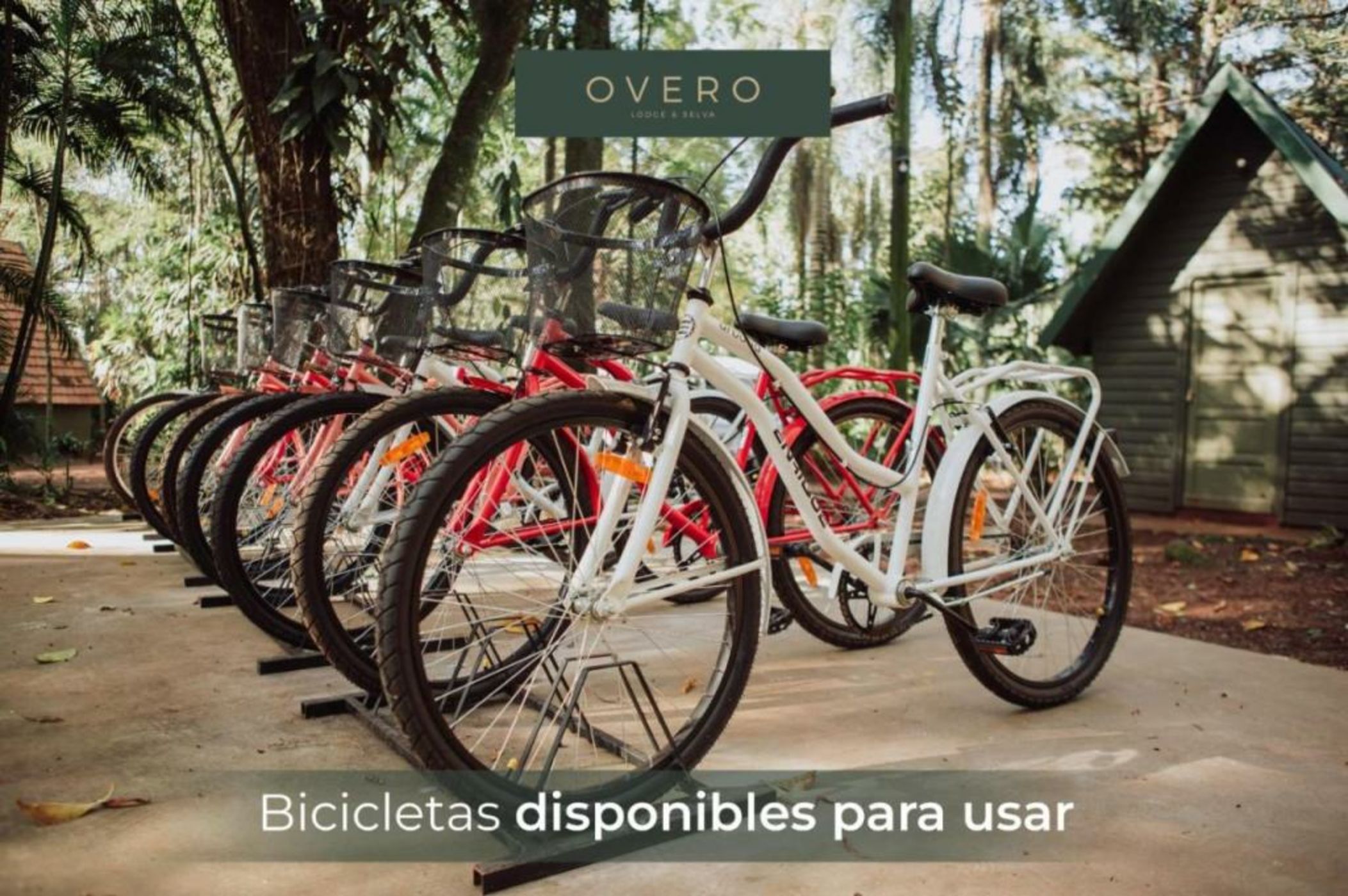 Overo Lodge & Selva