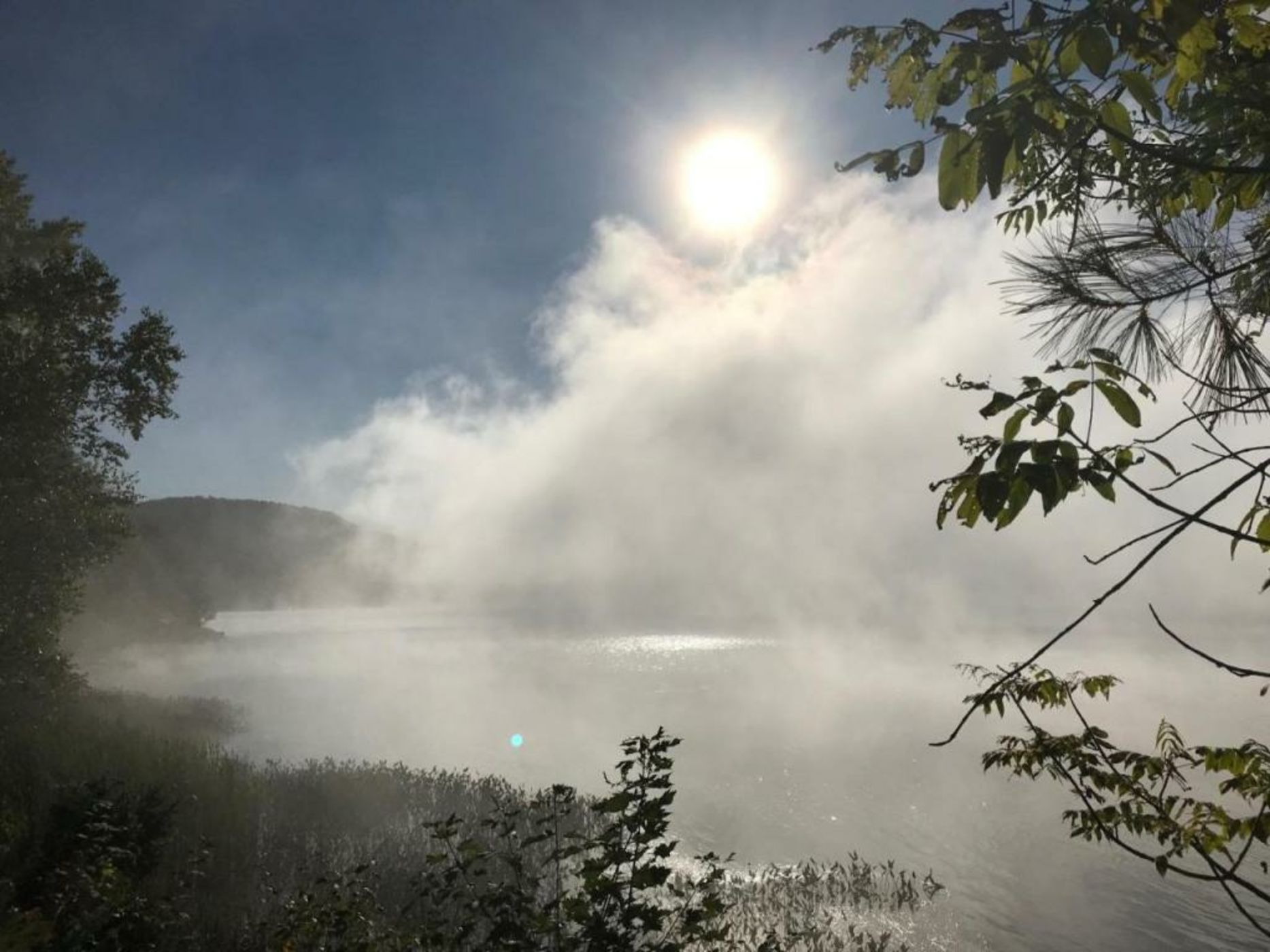 Les Dames du Lac