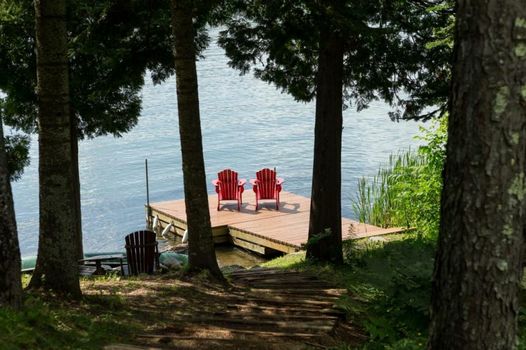 Les Dames du Lac