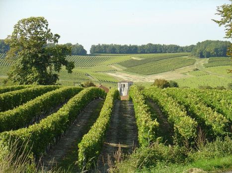Le Relais de Saint-Preuil, The Originals Relais Vignes du Cognac