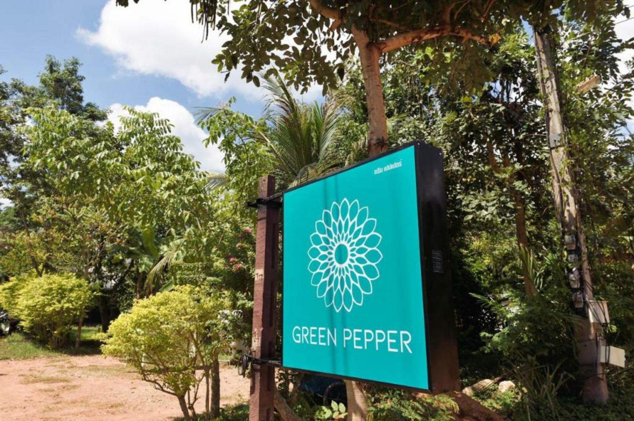 Green Pepper