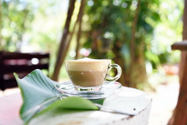 Green Pepper