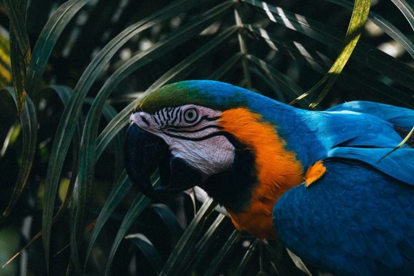 Villa Maria Tayrona, Jungle and Sea Experience