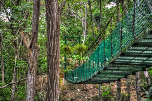 Villa Maria Tayrona, Jungle and Sea Experience