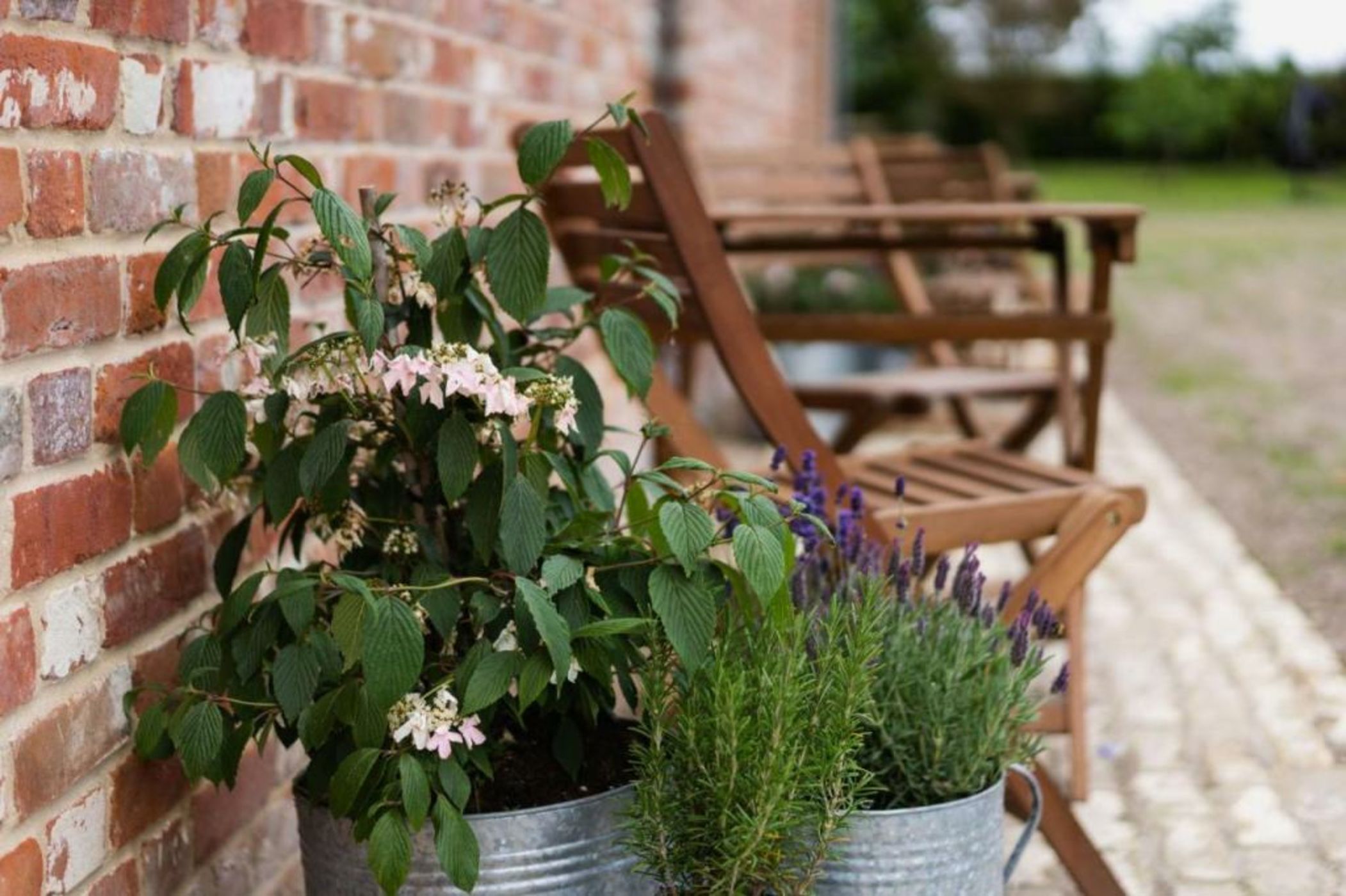 Willow Barn Norfolk Broads B&B