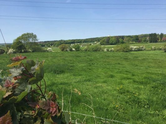 Wartling Place Country House