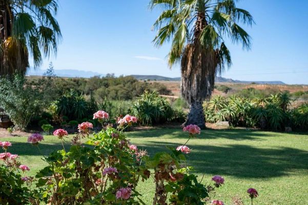 De Denne Country Guest House