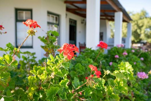 De Denne Country Guest House