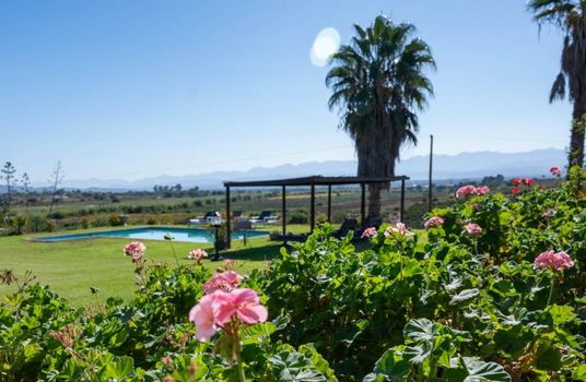 De Denne Country Guest House