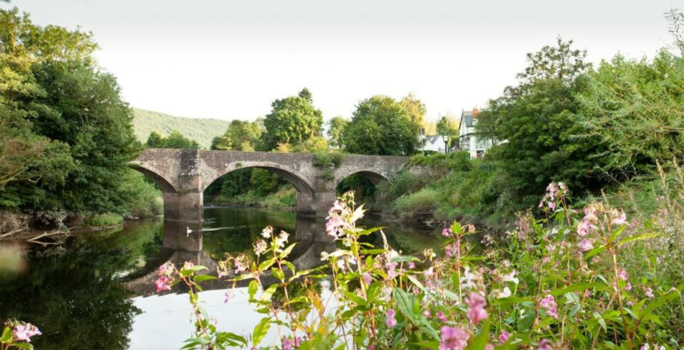 The Newbridge on Usk