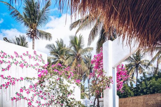 The Koho Air Hotel