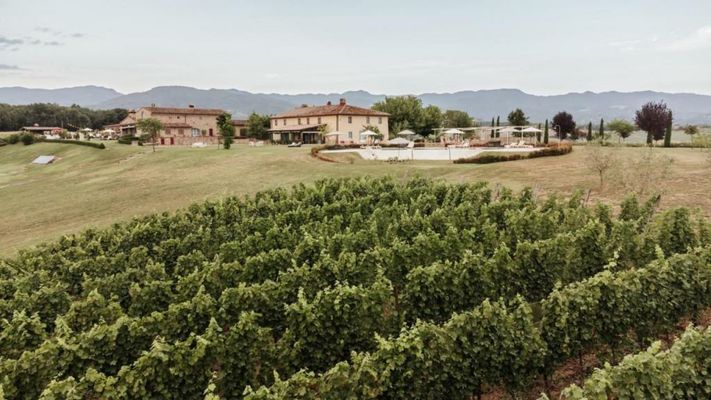 Tenuta Le Tre Virtù