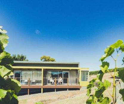 Longview Vineyard