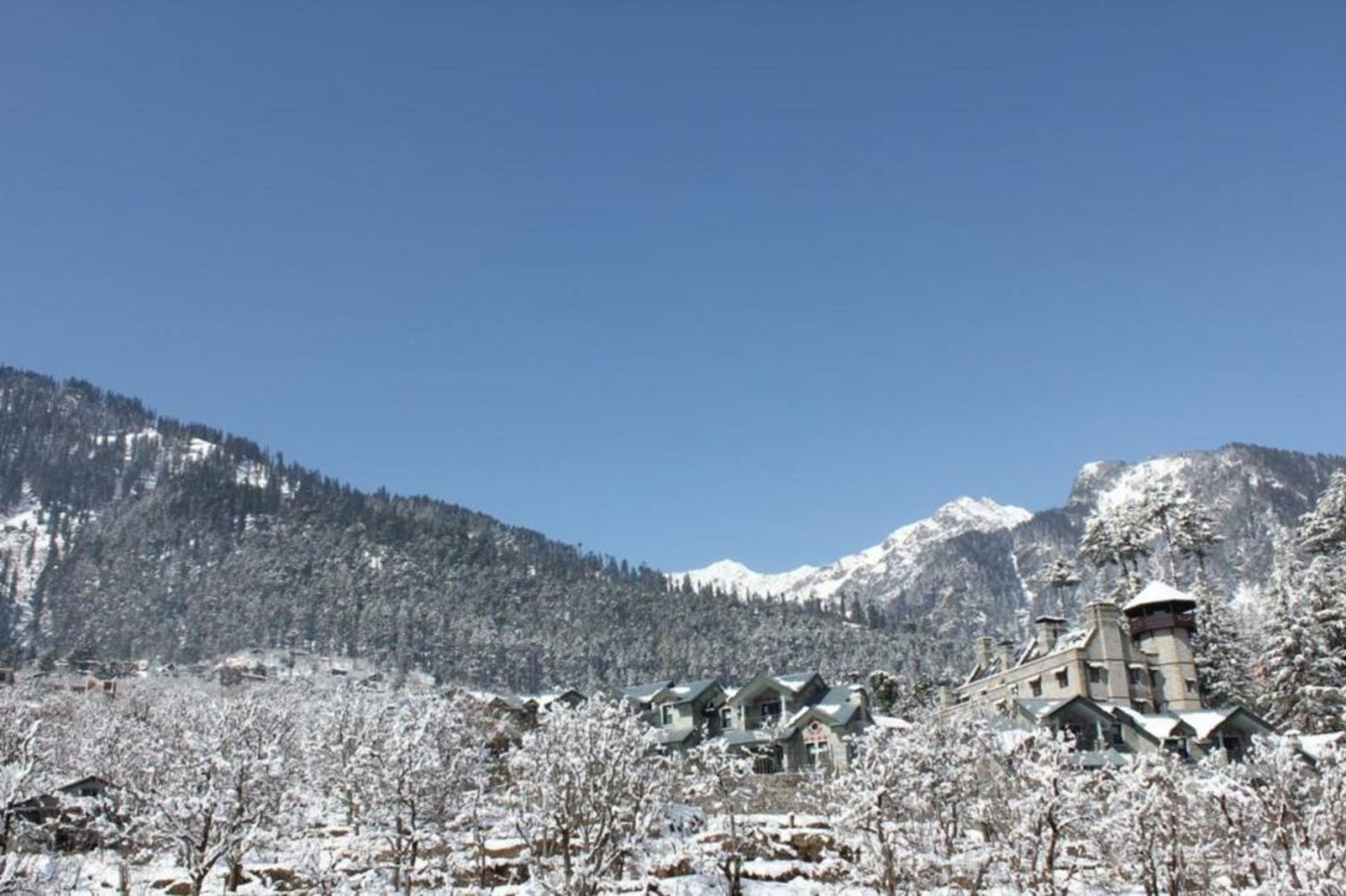 The Himalayan
