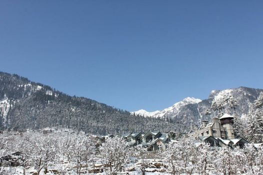 The Himalayan