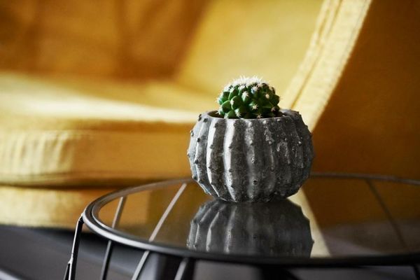 Aparthotel Mittermeiers Alter Ego