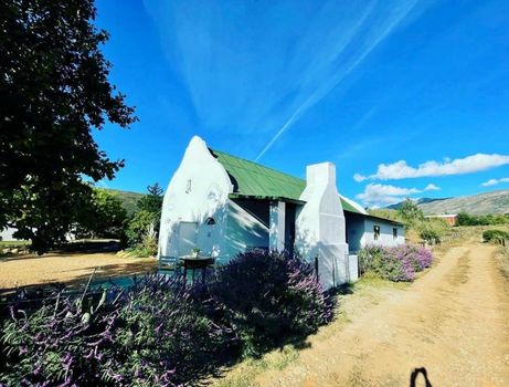 Blue Cow Barn - Boutique Farm