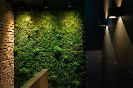 The Black Boutique -- Turistea Suites