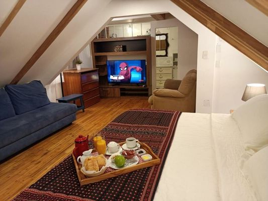 Iguanazu Bed & Breakfast