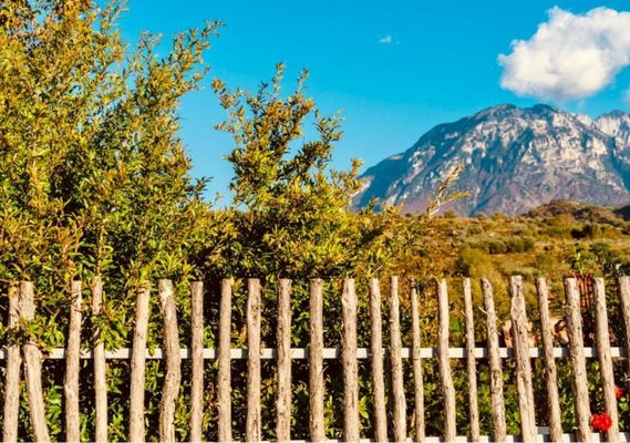 Alpeta Agrotourism & Winery - Roshnik , Berat