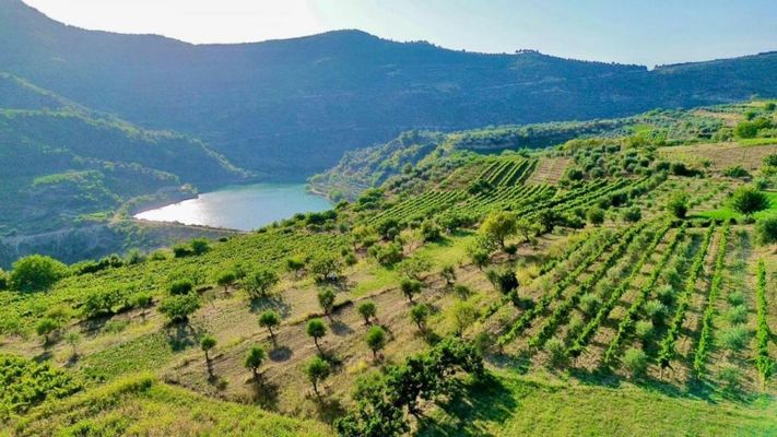 Alpeta Agrotourism & Winery - Roshnik , Berat