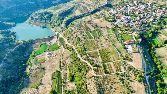 Alpeta Agrotourism & Winery - Roshnik , Berat