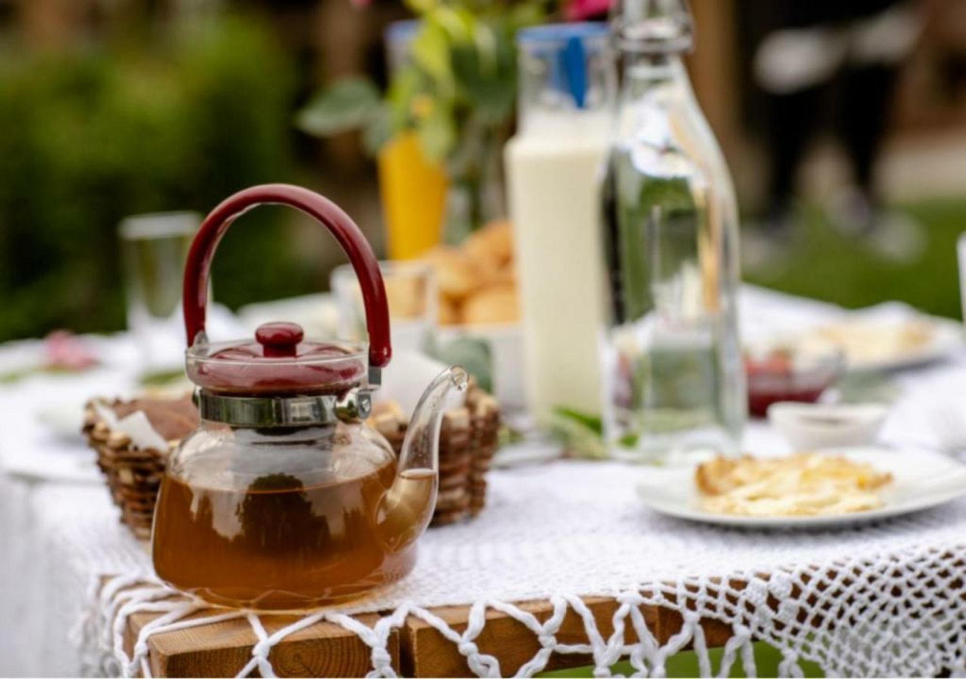 Alpeta Agrotourism & Winery - Roshnik , Berat