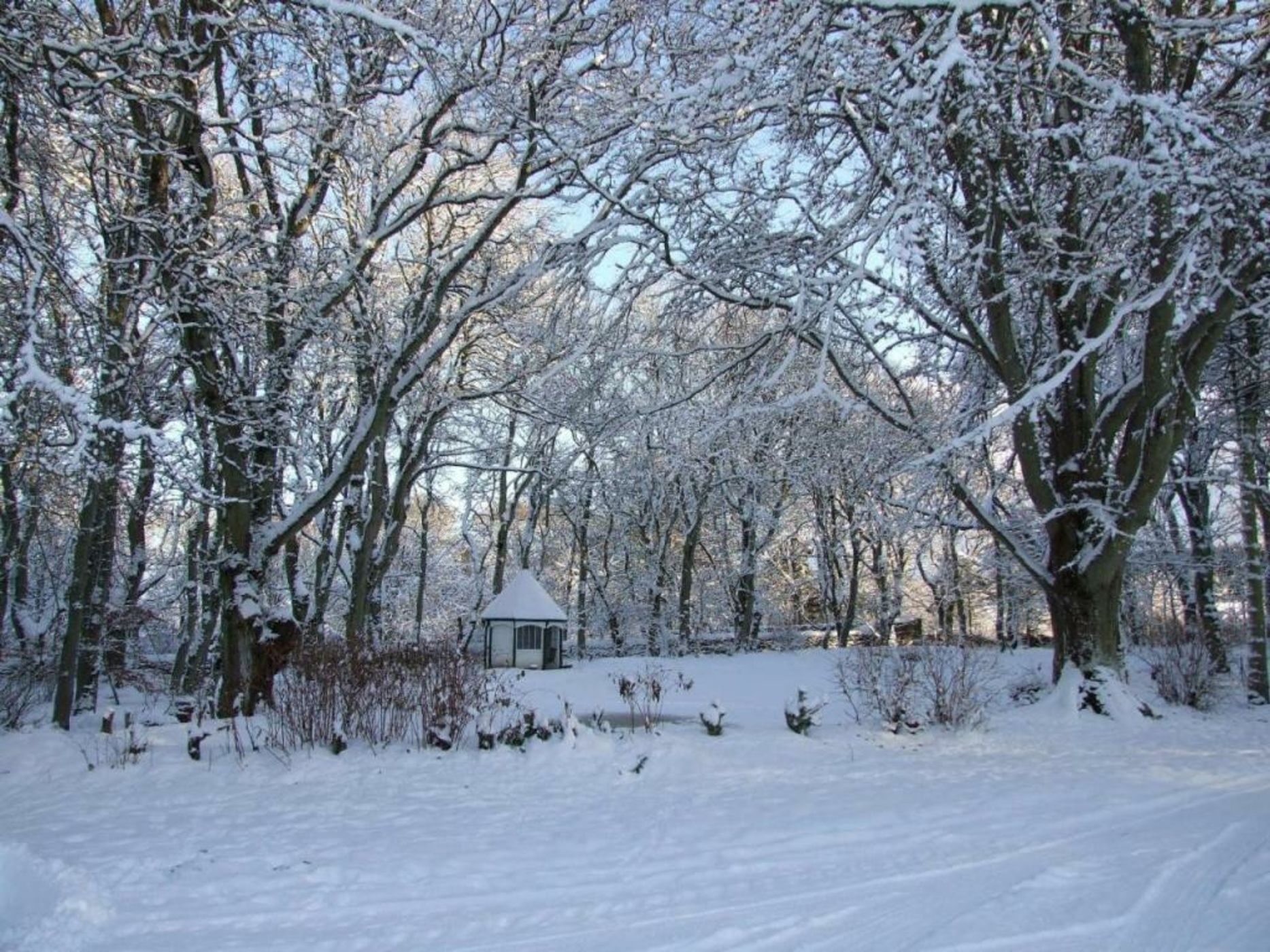 Thrumster House