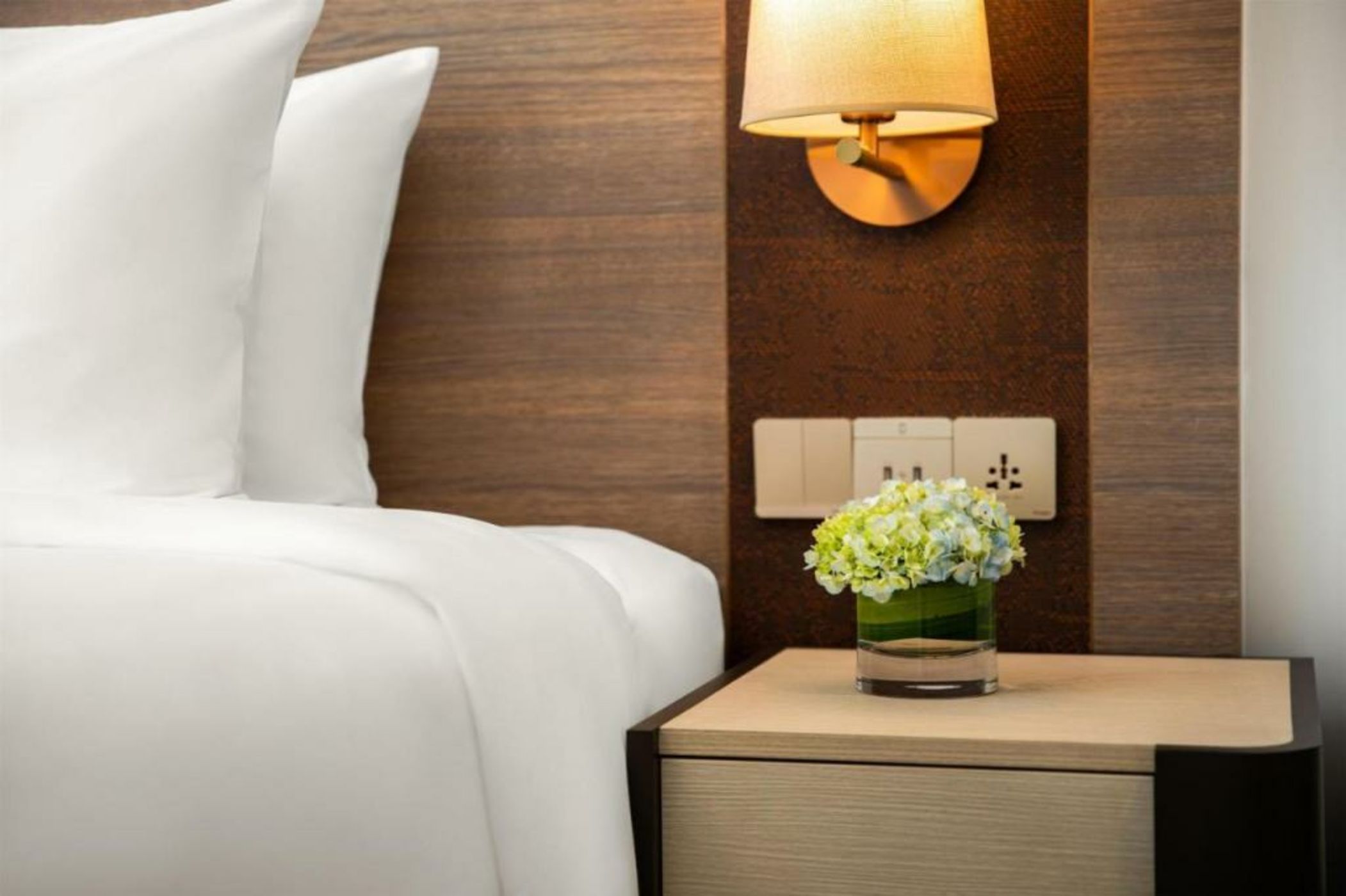 Radisson Bhopal