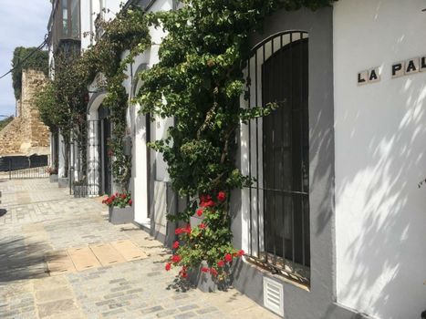 Darcilla Guest House