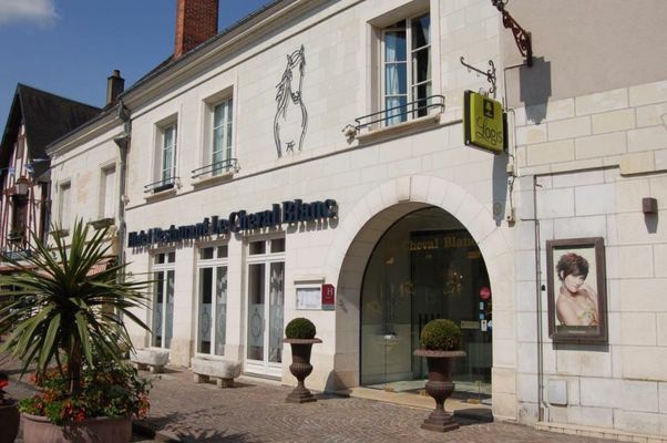 Logis Hotel Restaurant Le Cheval Blanc