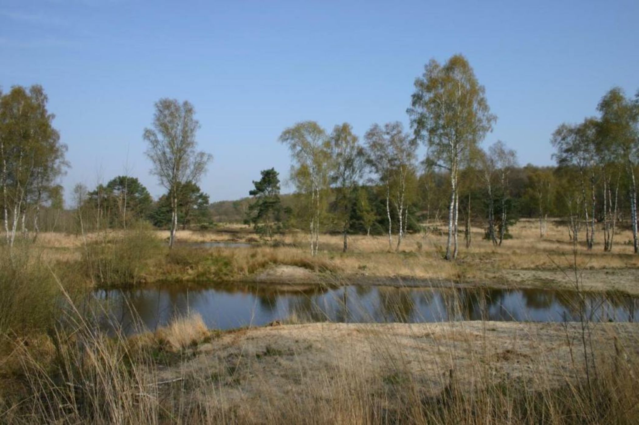 Landgoed Kasteel Daelenbroeck