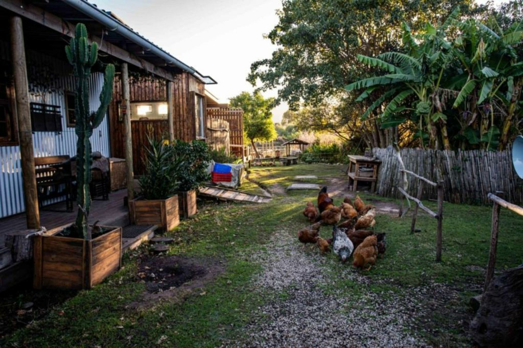ECO Lodge Villa Villekula