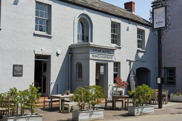 The Swan